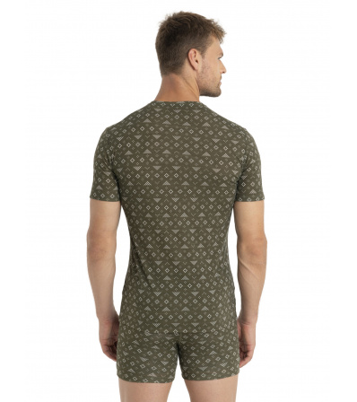 Блуза Icebreaker M's Merino 150 Anatomica Short Sleeve T-Shirt First Snow Winter 2024