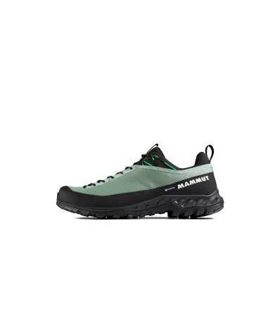 Обувки Mammut Alnasca IV Low GTX Men