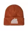 Детска Шапка Patagonia Kid's Logo Beanie